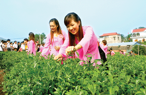 Cuộc thi Người đẹp xứ Trà 2013: 'Hương Sắc Xứ Trà'